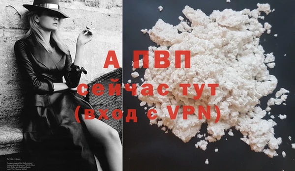 ECSTASY Дмитров