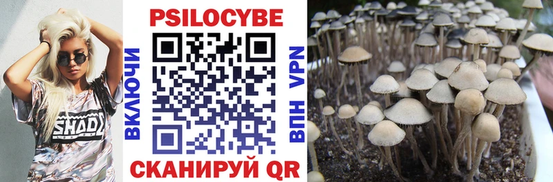 Псилоцибиновые грибы мухоморы  Королёв 